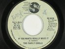 Sweet Soul 45 - Family Circle - If You Wanta Really Make It - Sky Disc - mp3
