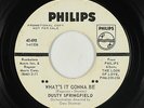 Northern Soul 45 - Dusty Springfield - What's It Gonna Be - Philips - mp3