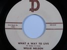 Country Bopper 45 WILLIE NELSON What A Way To Live D HEAR