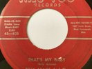 Rockabilly 45/ Billy Adams & Rock A Teers 