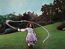 Trees - On The Shore Vinyl LP Music On Vinyl NEW