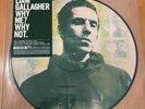 LIAM GALLAGHER Why Me? Why Not. VINYL PICTURE DISC RECORD RSD Black Friday 2019