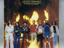 LYNYRD   SKYNYRD    