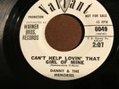 Danny & The Memories Can't Help Lovin That Girl Of Mine / don't go 45 DJ VG++