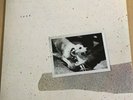 Fleetwood Mac Tusk Vinyl