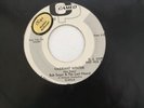 Rare Promo 45RPM Bob Seger & The Last Heard Vagrant Winter/Very Few VG