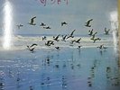 1974 Poetry of The Sea 海诗 Blue Seas Grand Orchestra LP 黑膠唱片 Tokyo Japan