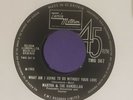 Martha & The Vandellas - What Am I Going To Do Without Your Love ? Tamla Motown