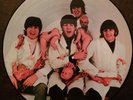 The Beatles - Butcher Cover Picture Disc - Yesterday & Today LP - Mint
