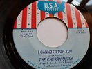 1968 Chicago Rock 45 THE CHERRY SLUSH I Cannot Stop You/ Don't Walk Away M-
