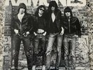 The Ramones: The Ramones OUT OF PRINT 180g Vinyl LP 2001 sire Repress
