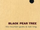 MOUNTAIN GOATS & KAKI KING Black Pear Tree LP VG YELLOW VINYL LTD 200