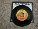 The Honeys Brian Wilson The One You Can't Have From Jimmy with Tears 45 5093