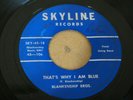 RARE ROCKABILLY BOPPER 45 - BLANKENSHIP BROS. - THAT'S WHY I'M BLUE - SKYLINE