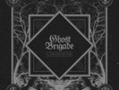 GHOST BRIGADE: IV - ONE WITH THE STORM (SILVER 2LP) {LP vinyl}