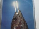 Sealed REO Speedwagon You Can Tune A Piano, But You Can't Tuna Fish Epic Records