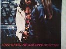 LENNY KRAVITZ ?– Are You Gonna Go My Way -1993 ,UK, LP  VINYL RECORD,NOT REISSUE