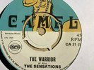 The Sensations - The Warrior / Johnny Organ - Don Juan 1969 Camel Boss Skinhead