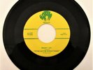 BENNY JOY BIG JOHN TAYLOR ITTIE BITTIE EVERYTHING/ MONEY 45 ROCKABILLY Buck Ram