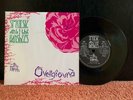 SIOUXSIE AND THE BANSHEES - OVERGROUND/PLACEBO EFFECT 