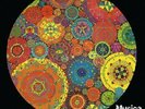 IT – VIAJE - Musica Electronica Libre - LP 1976 Survival Research
