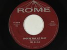 Doo-Wop 45 - Earls - Lookin' For My Baby - Rome - VG+ mp3