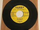 Original Travis & Bob / Tell Him No / 1959 Sandy 45 / NM