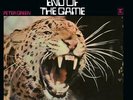 PETER GREEN: END OF THE GAME (LP vinyl *BRAND NEW*.)