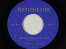 Garage 45 - Small Society - Live For A Real Good Sound - Westchester - mp3