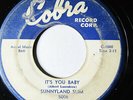 SUNNYLAND SLIM-IT'S YOU BABY ON COBRA R&B BLUES 45-HEAR