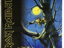 Iron Maiden 'Fear of the Dark' Gatefold Sleeve DOUBLE LP Vinyl -  Nouveau
