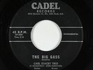Surf Inst. 45 - Carl Stacey Trio - The Big Gass - Cadel - mp3 - obscure