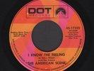 THE AMERICAN SCENE I Know The Feeling 45 7