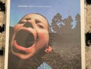 Have Heart ?– Songs To Scream At The Sun - Orange Vinyl - US Import