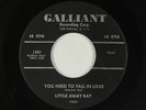 R&B Soul Popcorn 45 - Little Jimmy Ray - You Need To Fall In Love - Galliant mp3