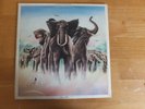 ELVIS COSTELLO & THE ATTRACTIONS-ARMED FORCES-RADAR RECORDS-RAD-14-COMPLETE WITH