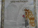 TRIPSICHORD music box LP gold foil GATEFOLD psych AKARMA moby grape NEAR MINT