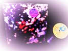 TOPS  SHRINK + STICKER  1972 Orig PINK FLOYD = OBSCURED CLOUDS Prog PSYCH WATERS