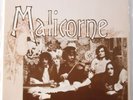 Malicorne - Malicorne (I) (1974, France) Hexagone 883002 Vinyl LP Gatefold NM/NM