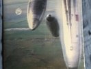 Godspeed You  Black Emperor - Yanqui U.X.O. 2LP 1st Press Swans Mogwai Sigur Ros