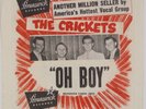 THE CRICKETS: Oh Boy / Not Fade Away US Brunswick PS Sleeve Only, No 45