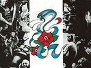 ROSE TATTOO - ROSE TATTOO, 2016 UK 180G vinyl LP, NEW - SEALED