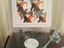 INXS - Underneath The Colours ORIGINAL Vinyl LP Album 1981 ?RARE? *EX*