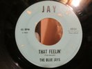 Rare Northern Soul 45-The BLUE JAYS-That Feelin'/Point Of View-Jay 4815-SVG-1965