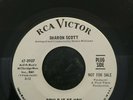 Sharon Scott  Northern Soul,, RnB Fantastic Rare Demo