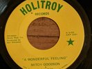 Mitch Goodson WONDERFUL FEELING 45 rpm Holitroy Records Private Label Garage mp3