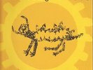 Throwing Muses Hunkpapa NEAR MINT Sire Vinyl LP