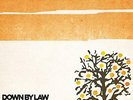 DOWN BY LAW-QUICK HITS LIVE IN STUDIO (COLV) (LTD) (ORG) VINYL LP NEUF