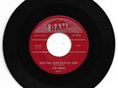 DOO WOP 45 THE WRENS WILL YOU COME BACK MY LOVE ON RAMA STRONG VG  3RD PRESS