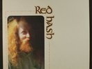 GARY HIGGINS: Red Hash LP (2008, bonus 7inch, insert) Rock & Pop